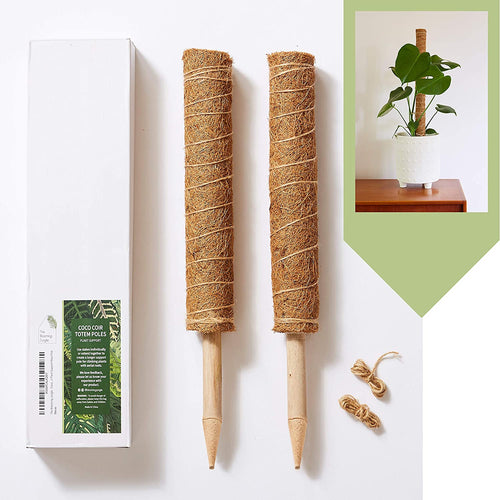 Coco-Coir Moss Pole Set — 2 Pack