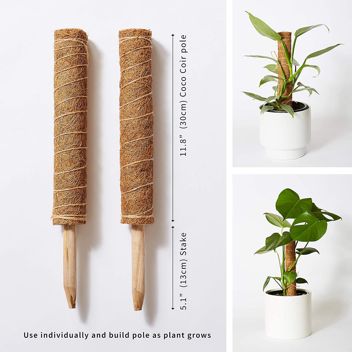 Coco-Coir Moss Pole Set — 2 Pack