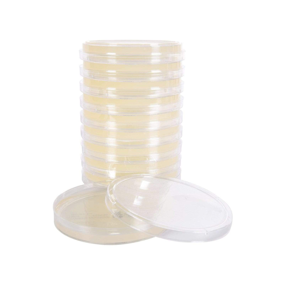 North Spore pre-poured sterile agar petri dishes
