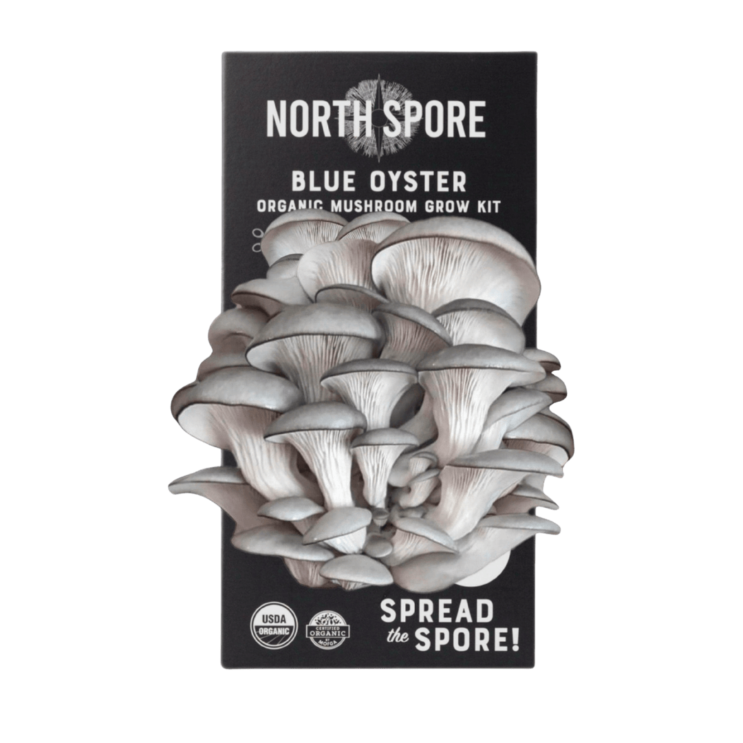 North Spore Organic Blue Oyster Spray & Grow Mushroom Growing Kit