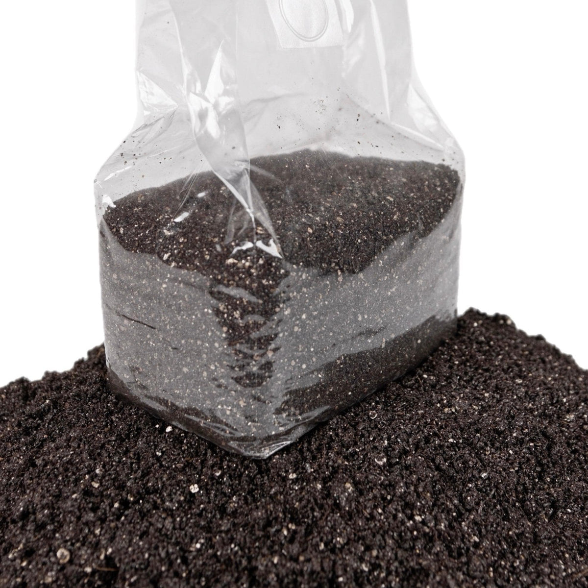 North Spore CVG coco vermiculite gypsum sterile bulk mushroom substrate