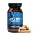 North Spore Organic Lion's Mane Mushroom Capsules 120 count