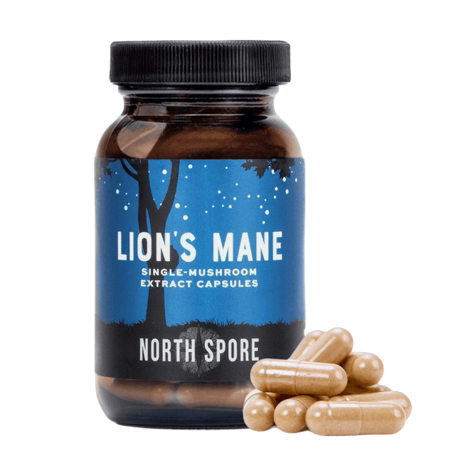 North Spore Organic Lion's Mane Mushroom Capsules 120 count