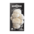 North Spore Organic Lion's Mane Spray & Grow Mushroom Growing Kit