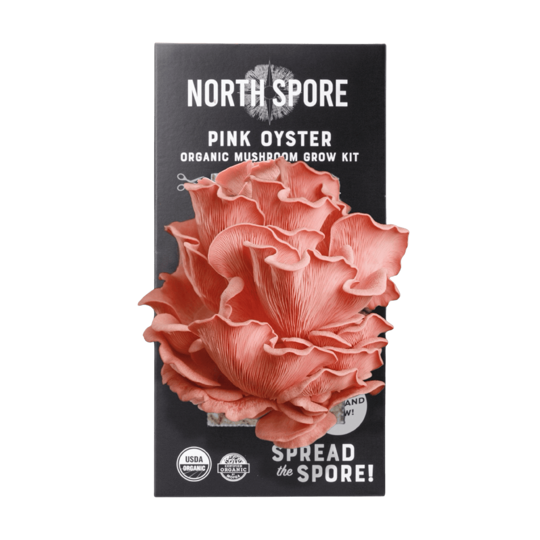 North Spore Organic Pink Oyster Spray & Grow Mushroom Growing Kit