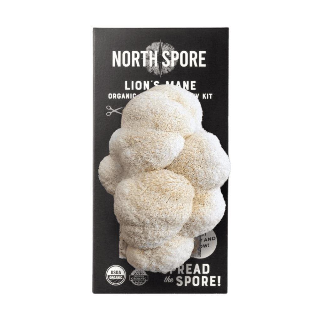 ROOMROOT Mushroom Ritual Duo — Lion's Mane Spray & Grow component